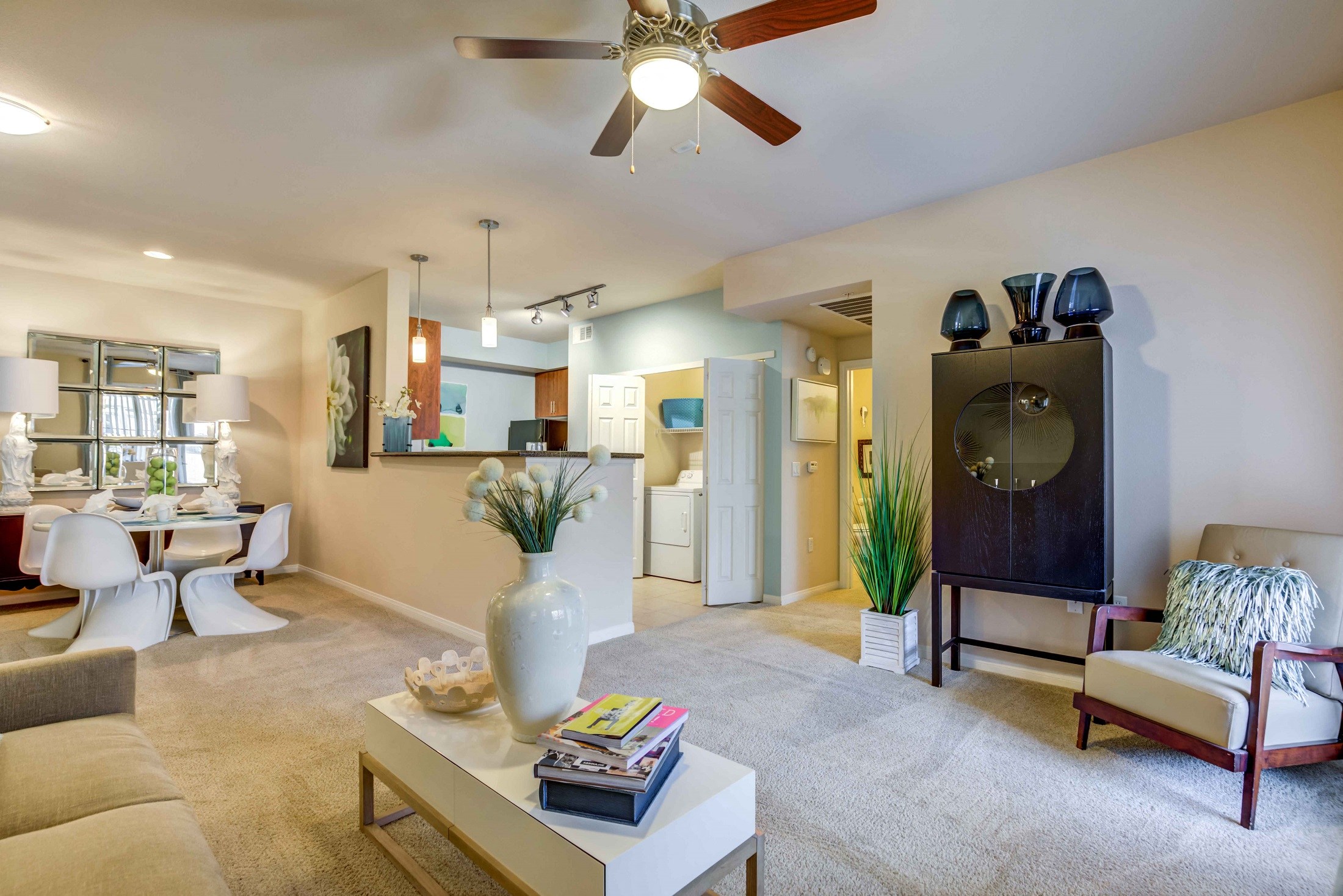 Contemporary and Loft Style Apartments